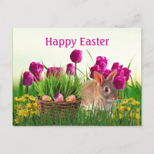 Pink Tulips and Easter Bunny Holiday Postcard