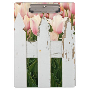 pink tulips and old fence clipboard