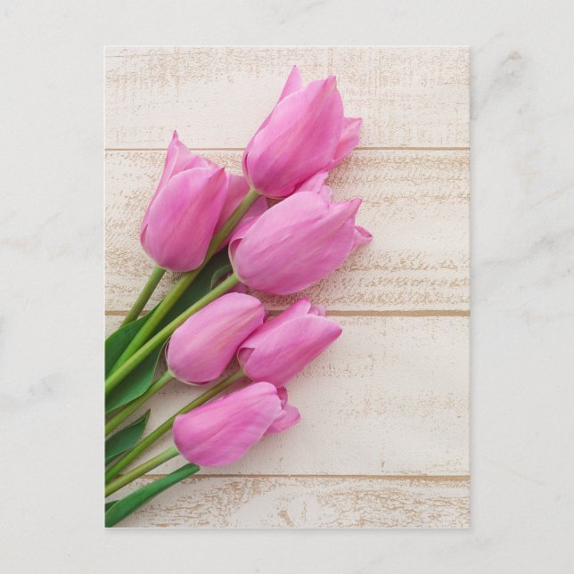 pink tulips | birthday | mothersday | postcard (Front)