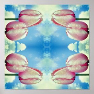 Pink Tulips Blue Sky And White Clouds Abstract  Poster