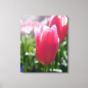 Pink tulips canvas print