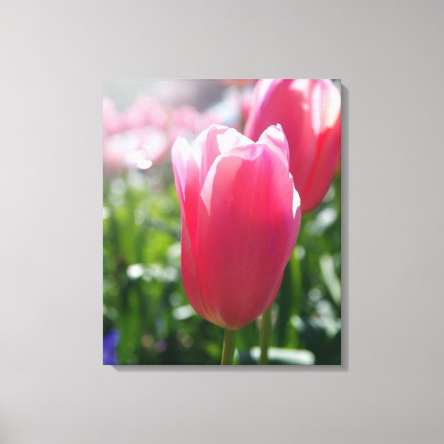Pink tulips canvas print (Front)