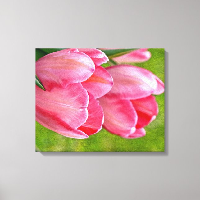 Pink Tulips Canvas Print (Front)