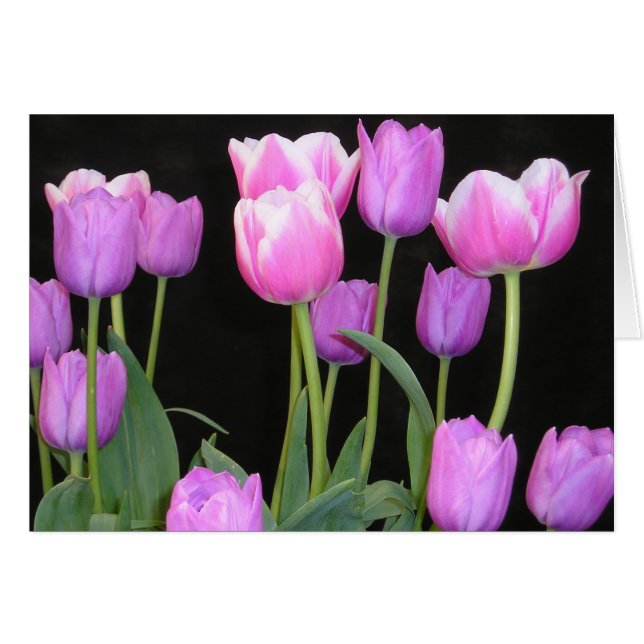 Pink Tulips Card (Front Horizontal)