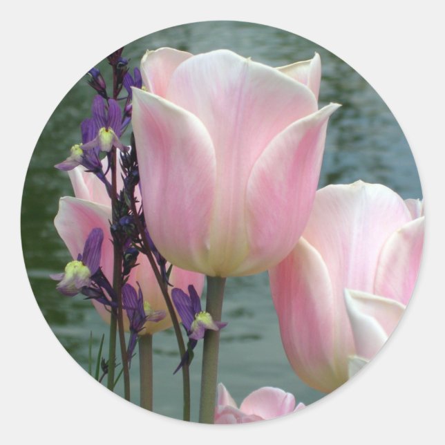 Pink Tulips Classic Round Sticker (Front)