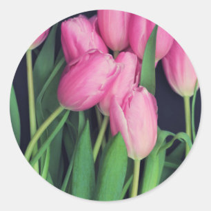 Pink Tulips Classic Round Sticker