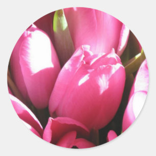 Pink Tulips Classic Round Sticker