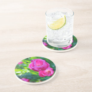 Pink Tulips Coaster
