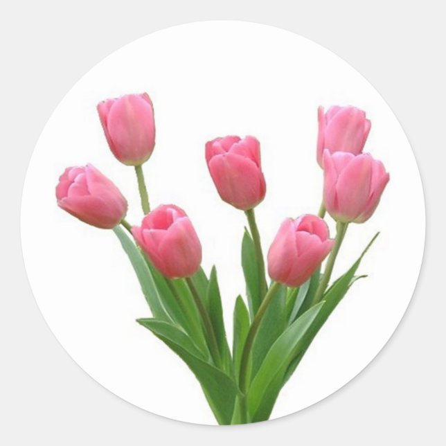 pink tulips - customisable classic round sticker (Front)