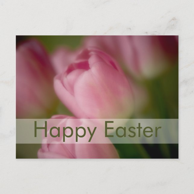 Pink Tulips • Easter Postcard (Front)