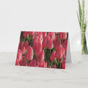 Pink Tulips Floral Card