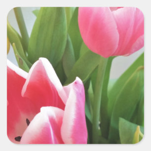 Pink Tulips, Floral Spring Bouquet, Flowers Square Sticker