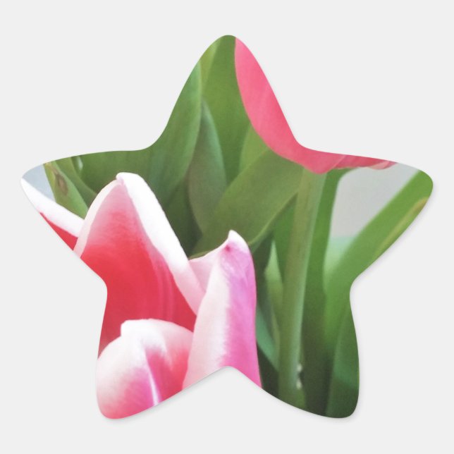 Pink Tulips, Floral Spring Bouquet, Flowers Star Sticker (Front)