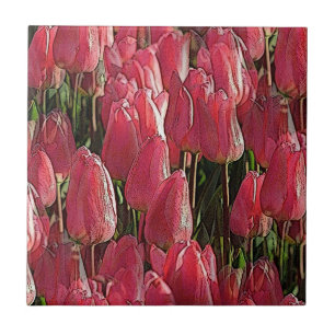 Pink Tulips Floral Tile