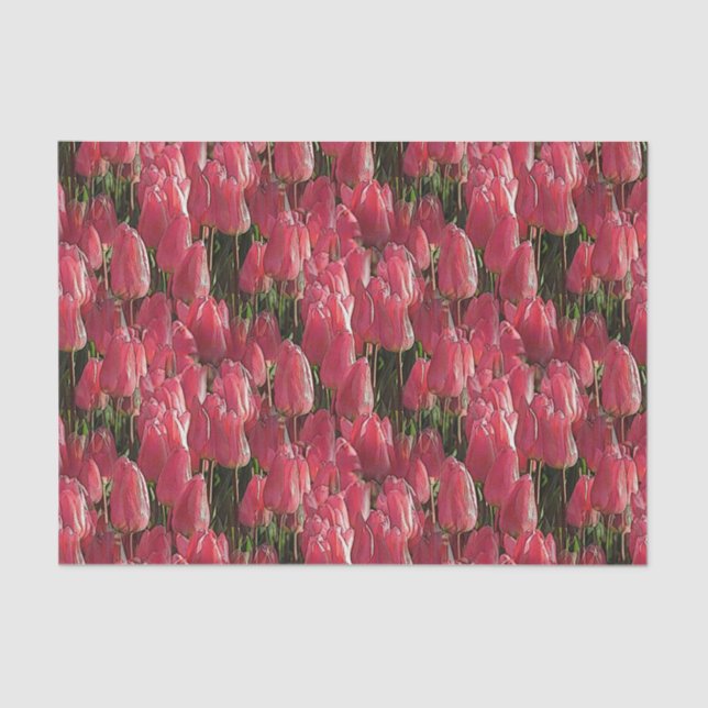 Pink Tulips Floral Tissue Paper (Front)