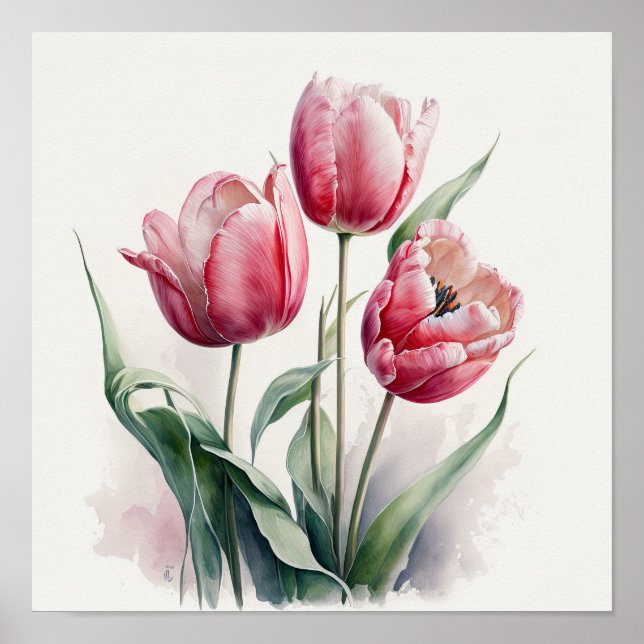 Pink Tulips Flower Art Print Poster (Front)