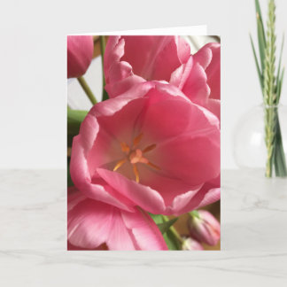 Pink Tulips Greeting Card