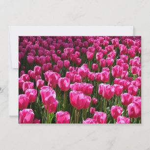 Pink Tulips Invitation