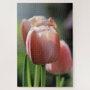 Pink Tulips Jigsaw Puzzle