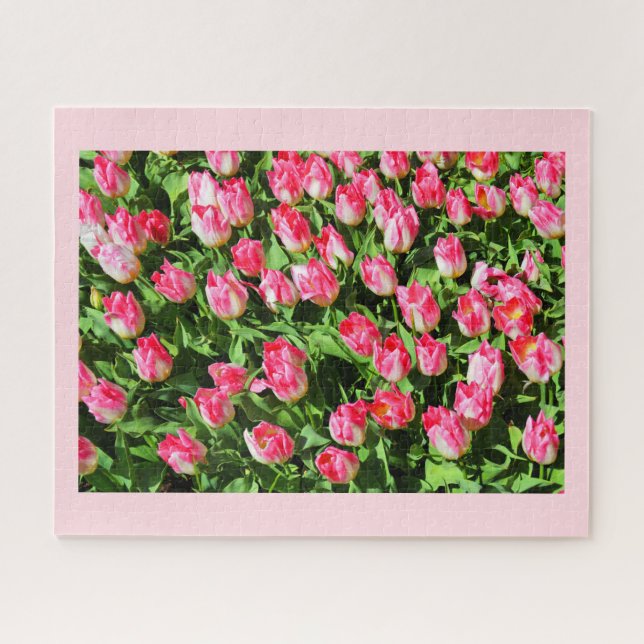 Pink tulips jigsaw puzzle (Horizontal)