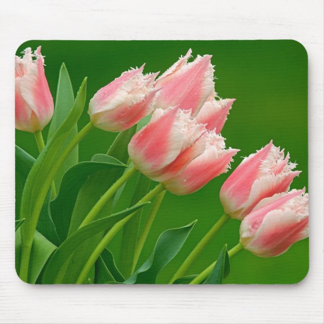 Pink Tulips Mouse Pad (Front)