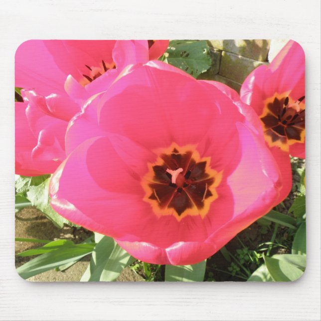 Pink Tulips Mousepad (Front)