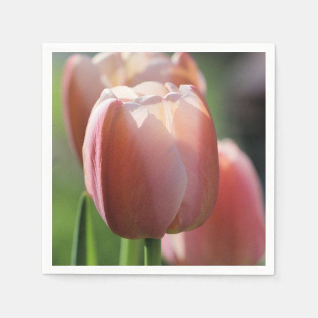 Pink Tulips   Napkin (Front)