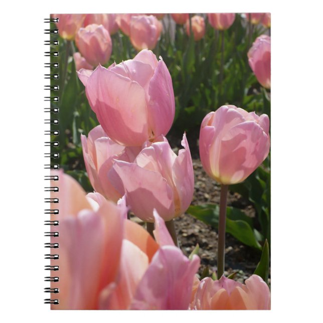Pink Tulips Notebook (Front)