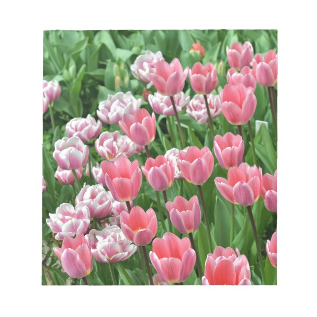 pink tulips notepad (Front)