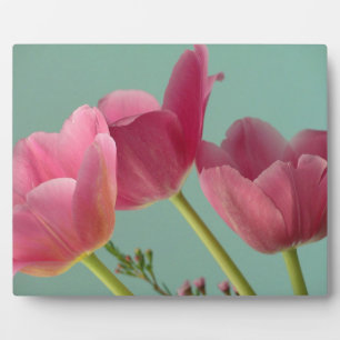 Pink Tulips on Turquoise Plaque