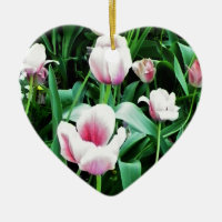Pink Tulips Picture