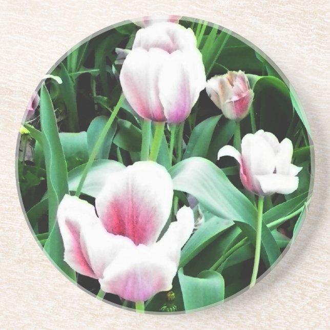 Pink Tulips Picture Coaster (Front)