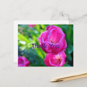 Pink Tulips Postcard
