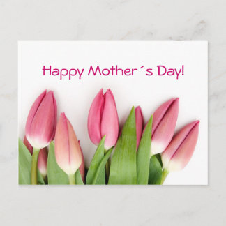 Pink tulips postcard