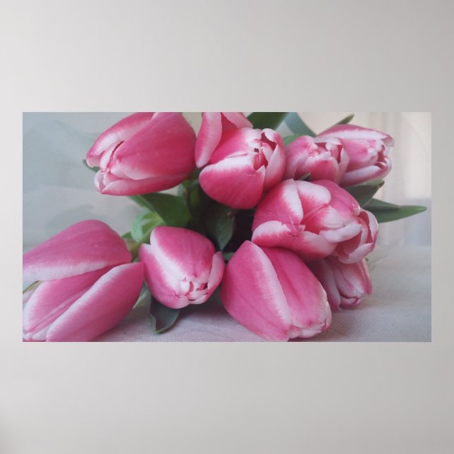 Pink Tulips, Poster (Front)