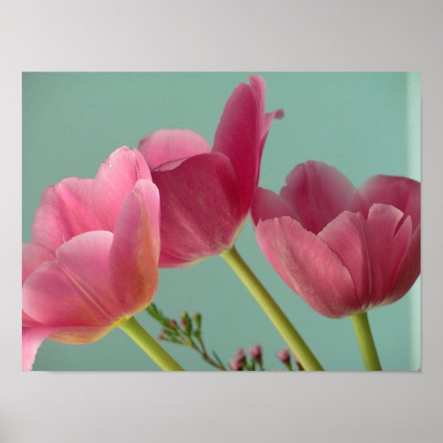 Pink Tulips Poster (Front)