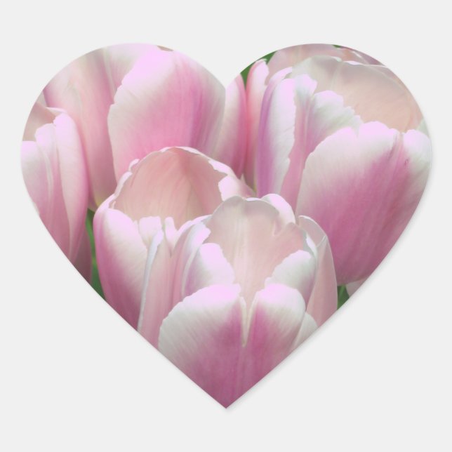Pink Tulips Sticker (Front)