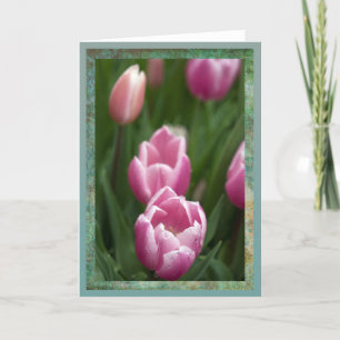Pink tulips with dewdrops card