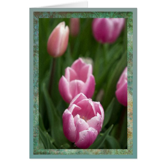 Pink tulips with dewdrops card