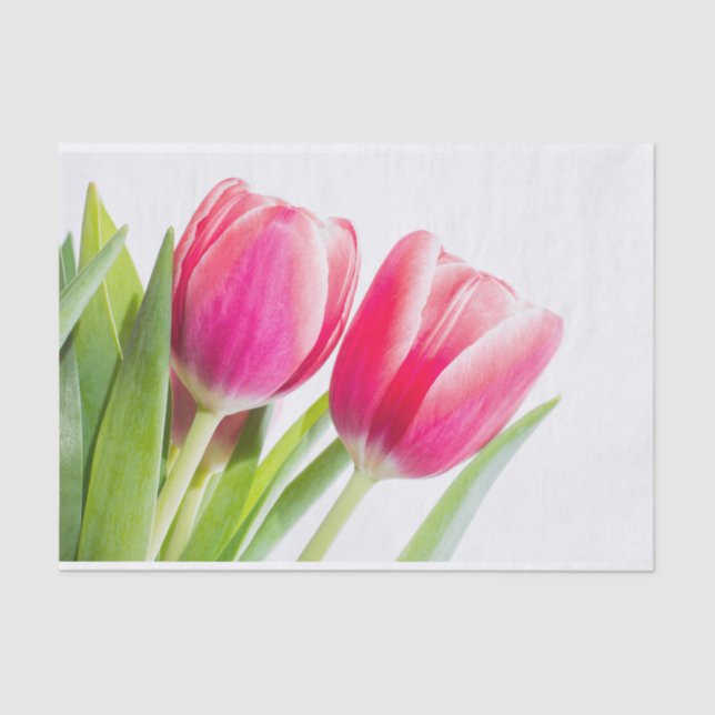 Pink Tulips with Green Leaves Photo Tissue Paper (Front)