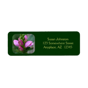 Pink Turtlehead Flower Address Label