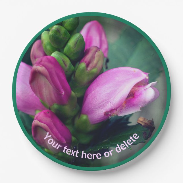 Pink Turtlehead Flower Personalised Party   Paper Plate (Front)