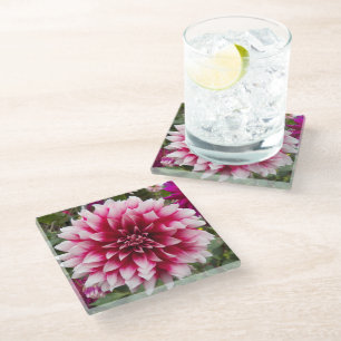 Pink Variegated Dahlia Floral Glass Coaster