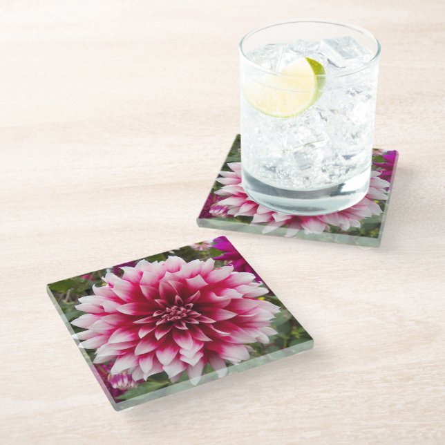 Pink Variegated Dahlia Floral Glass Coaster (Angled)