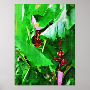 Pink Velvet Banana Tree Tropical Garden Collection Poster