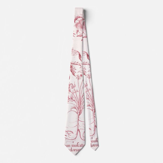 Pink Vintage Botanical Art Tie (Front)