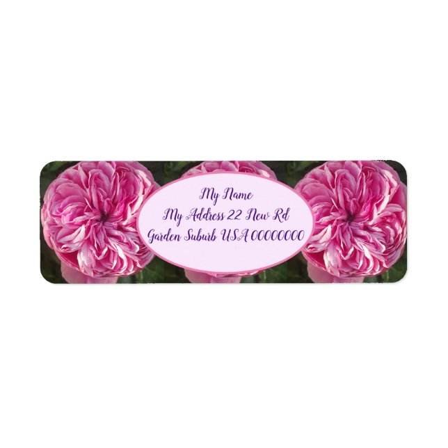 Pink Vintage Cabbage Rose Flower Floral (Front)