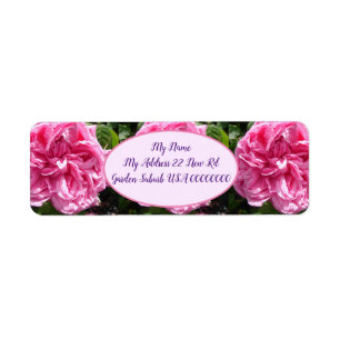 Pink Vintage Cabbage Rose Flower Floral Return Add