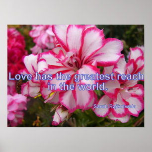 Pink Vintage Geranium Garden Flowers Love Poster