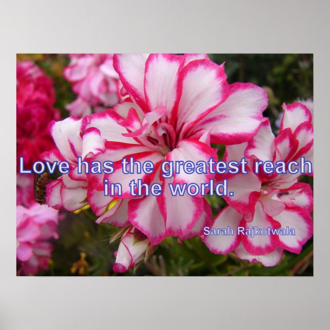 Pink Vintage Geranium Garden Flowers Love Poster (Front)